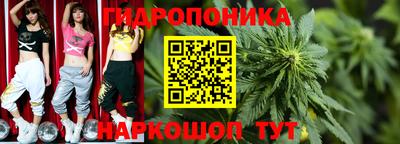 jwh Донецк