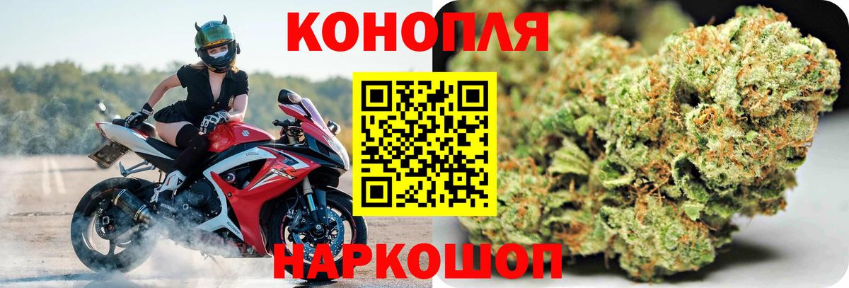 Шишки марихуана гибрид Отрадный
